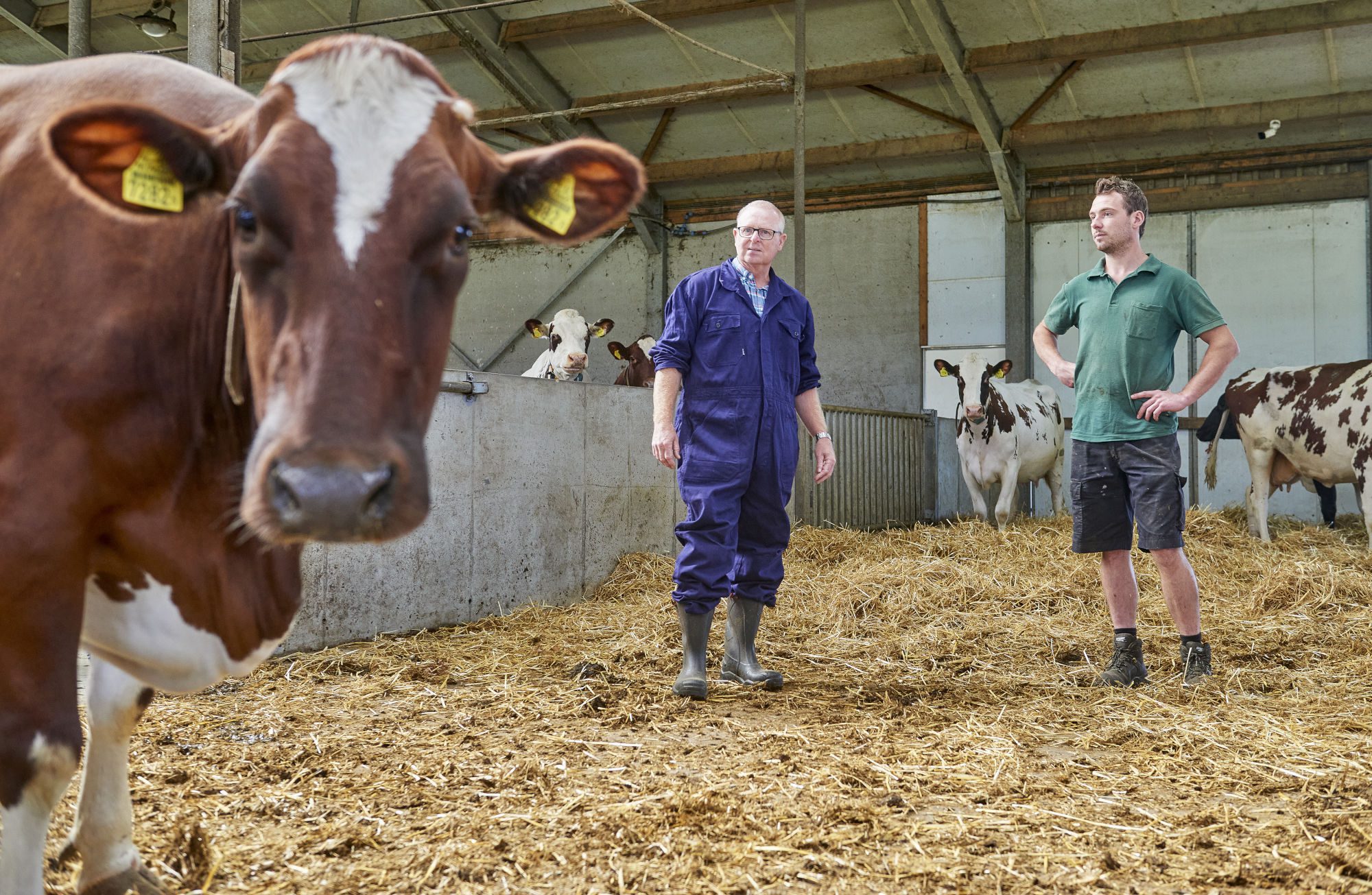 Cattle farmers