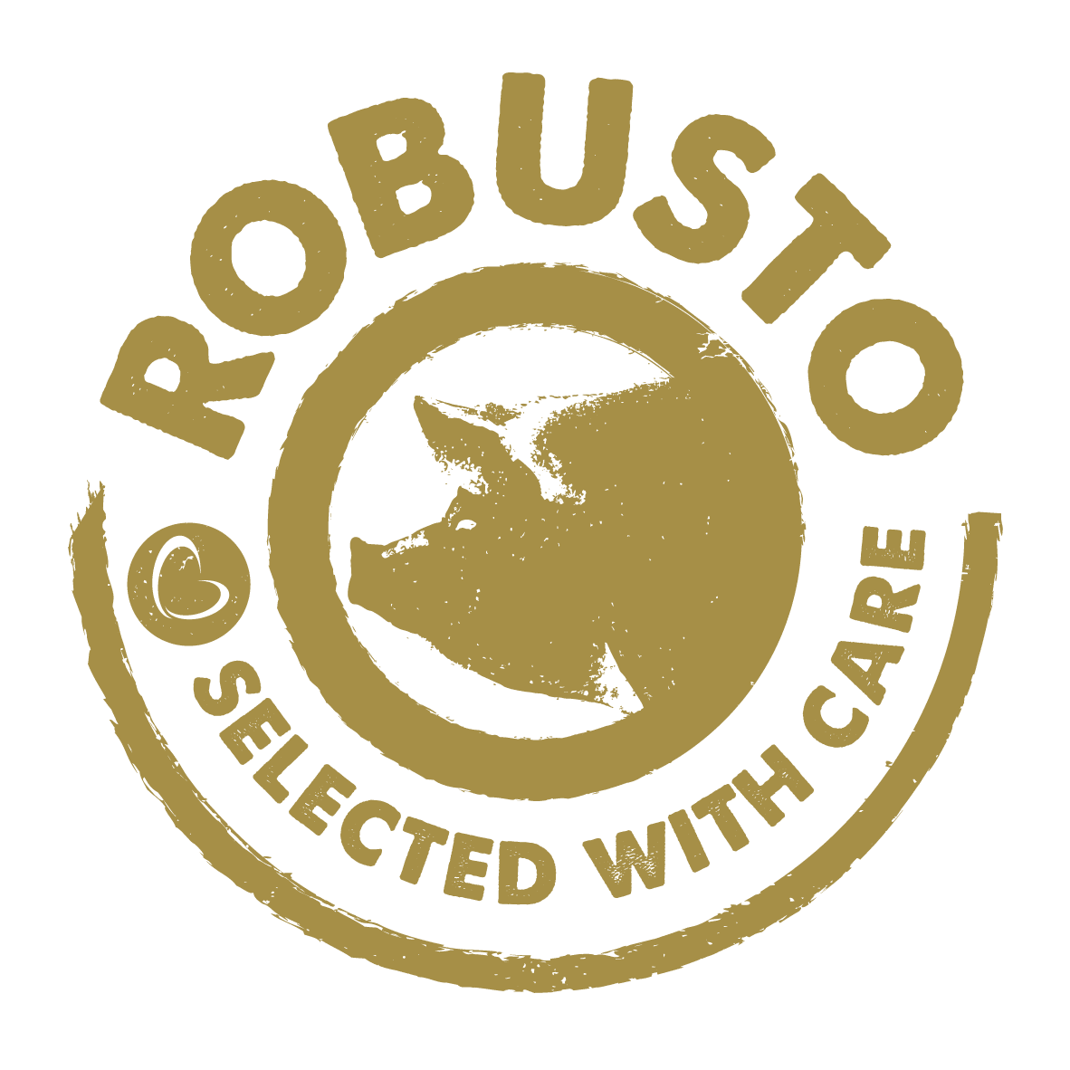 Robusto