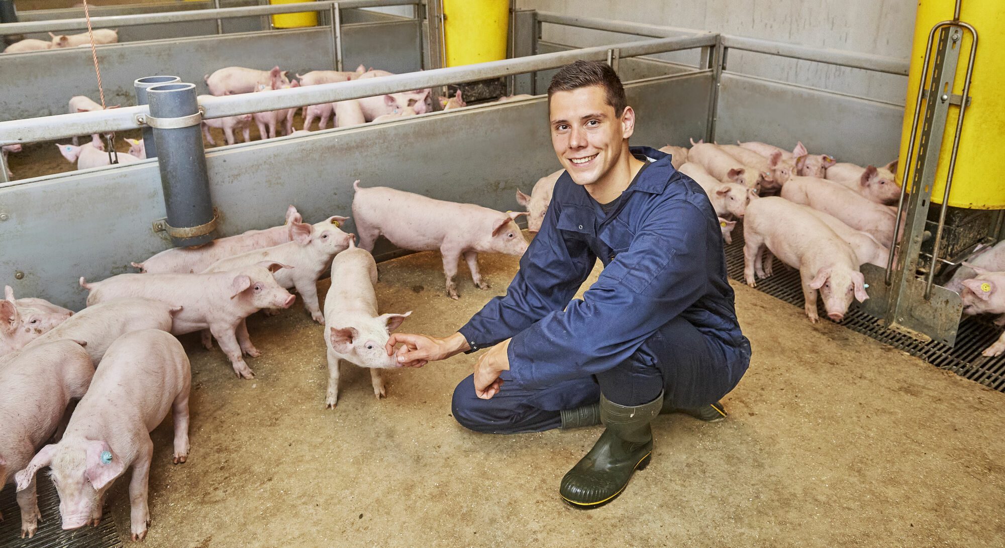 Partnership with pig farmers