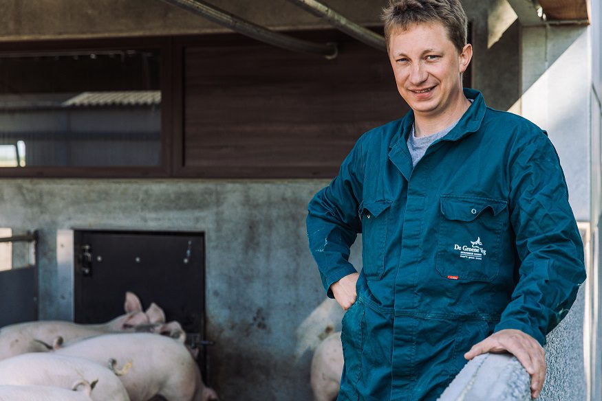 Erste belgische Schweine an den Biofleischproduzenten De Groene Weg geliefert