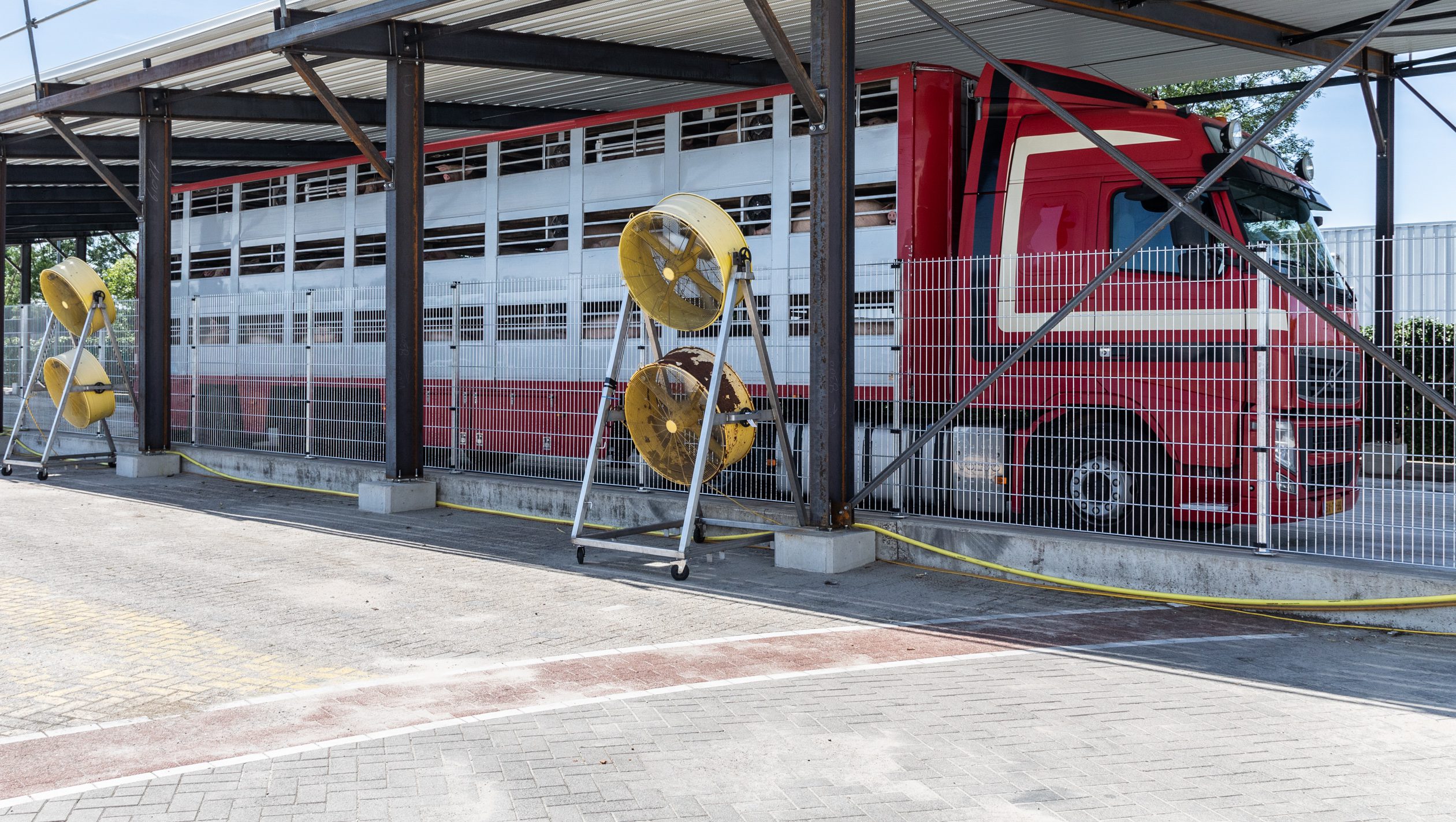 Vion zet warmtemaatregelen in voor transport en slachterijen bij hoge temperaturen