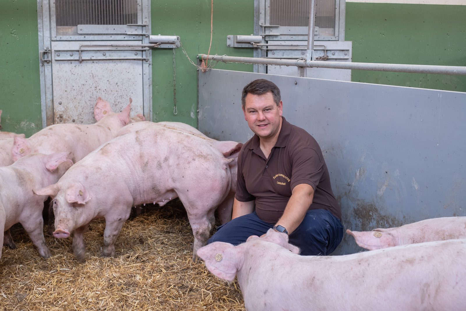 Tag: Regionales Bio Schweinefleisch aus Bayern: Strohschweine regional aufziehen, schlachten und vermarkten