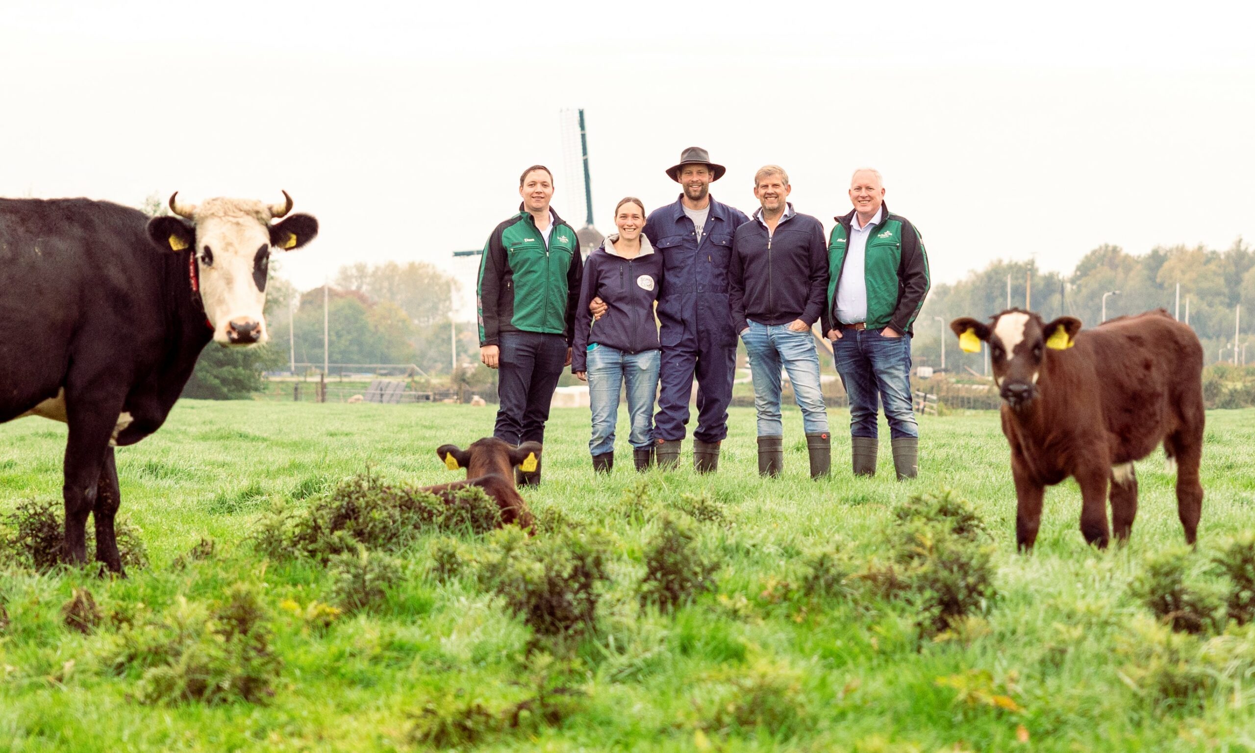 De Groene Weg participates in ‘calf with cow’ project