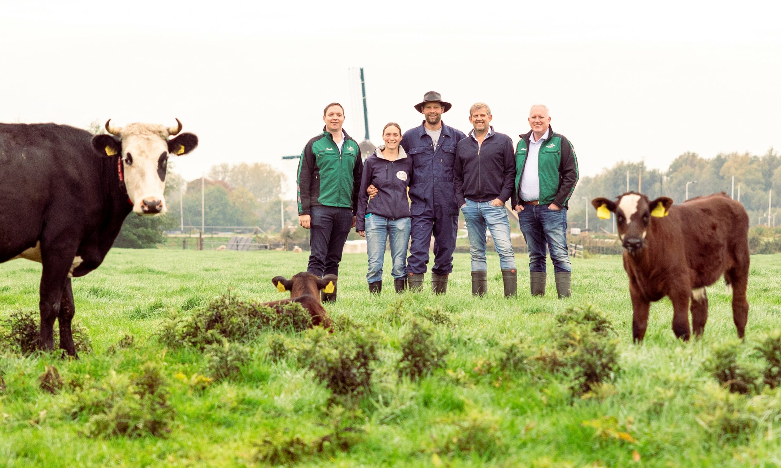 De Groene Weg werkt samen in ‘kalf-bij-koe’ project