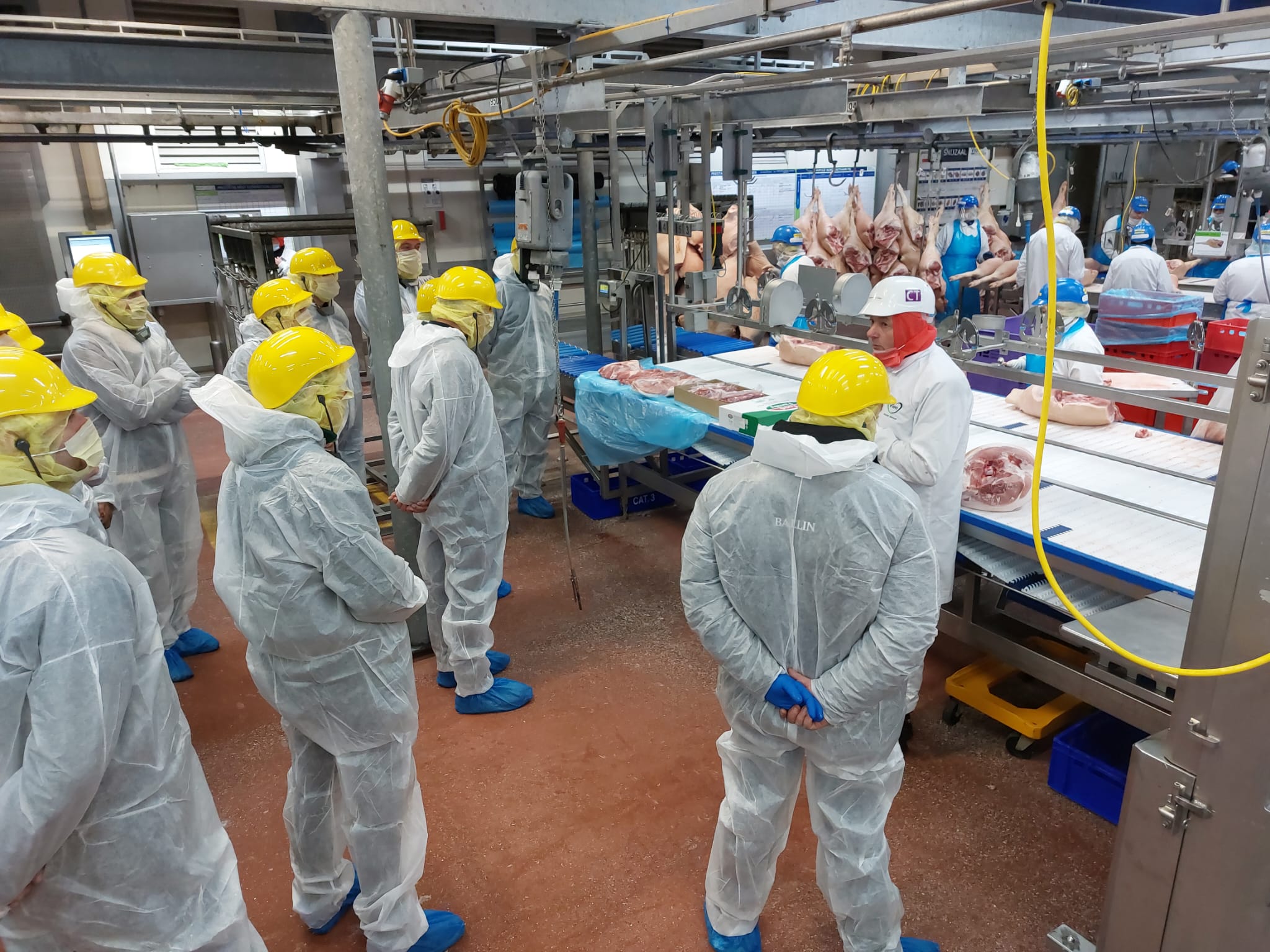 Good Farming Balance Supplier Days: Vion stärkt Beziehung zu niederländischen Schweinehaltern