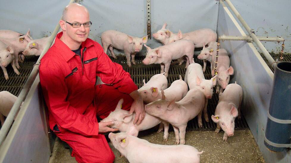 ‘Stal met slimme stal sensor verbetert gezondheid en emissie’