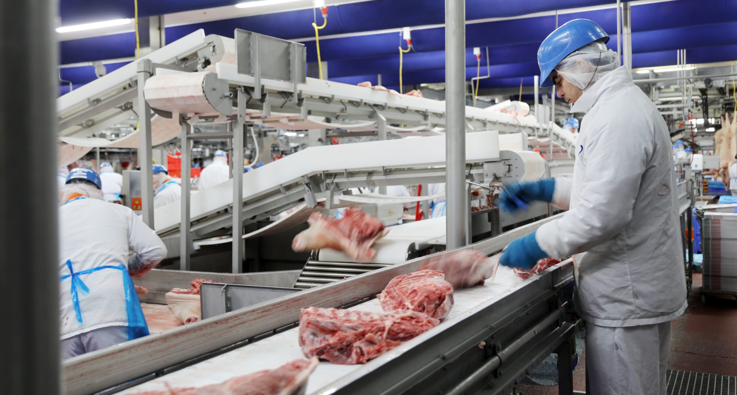Vion commits to joint efforts within the sector to structurally improve the situation of flex workers