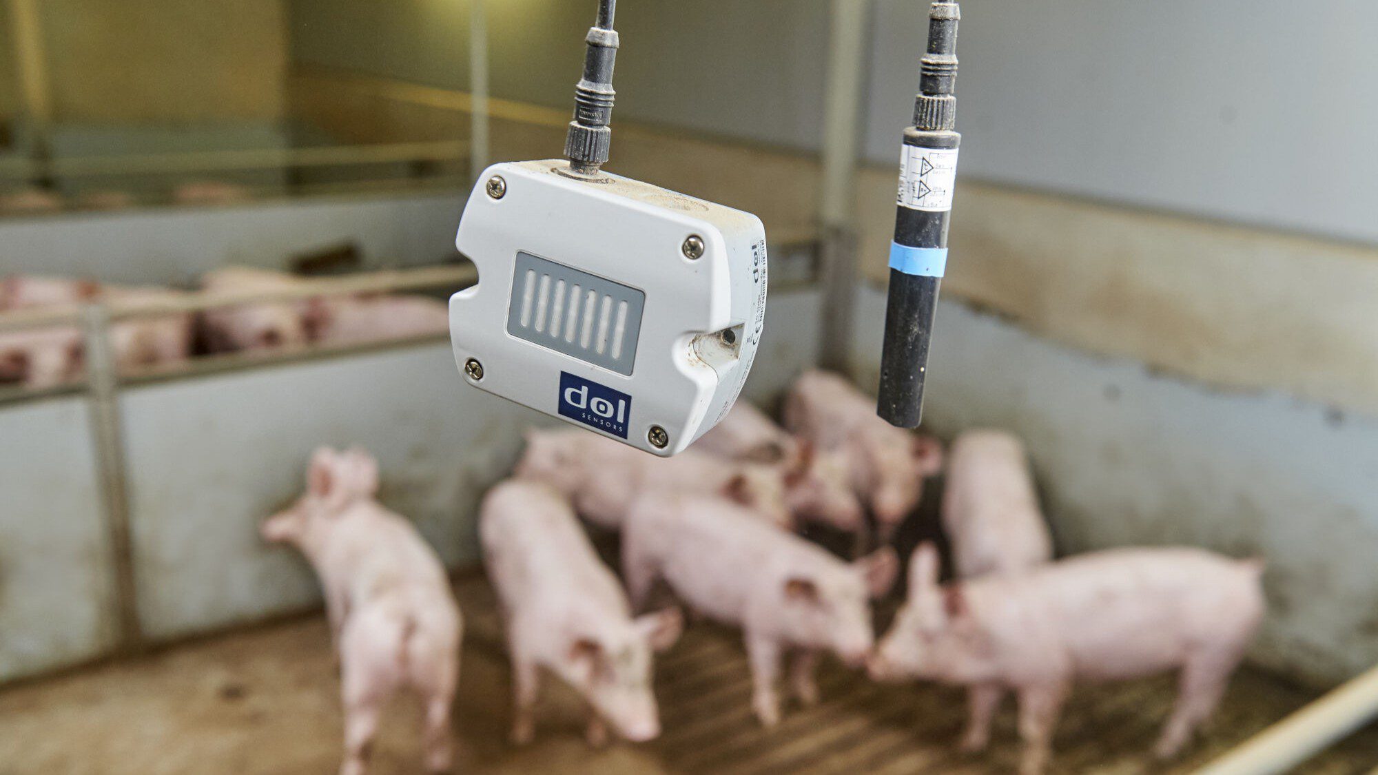 Final year of aWISH-EU project underway: large portion of data already collected